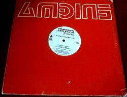 Stryper : My Love I'll Always Show